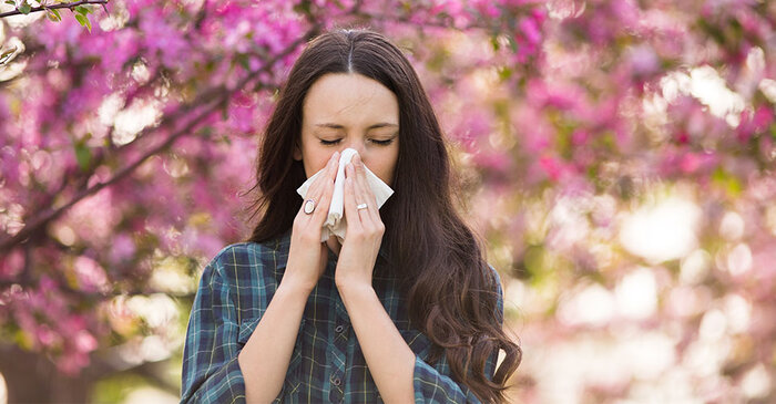 Könnten Sie an einer Allergie leiden?